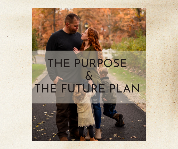 The Purpose and The Future Plan