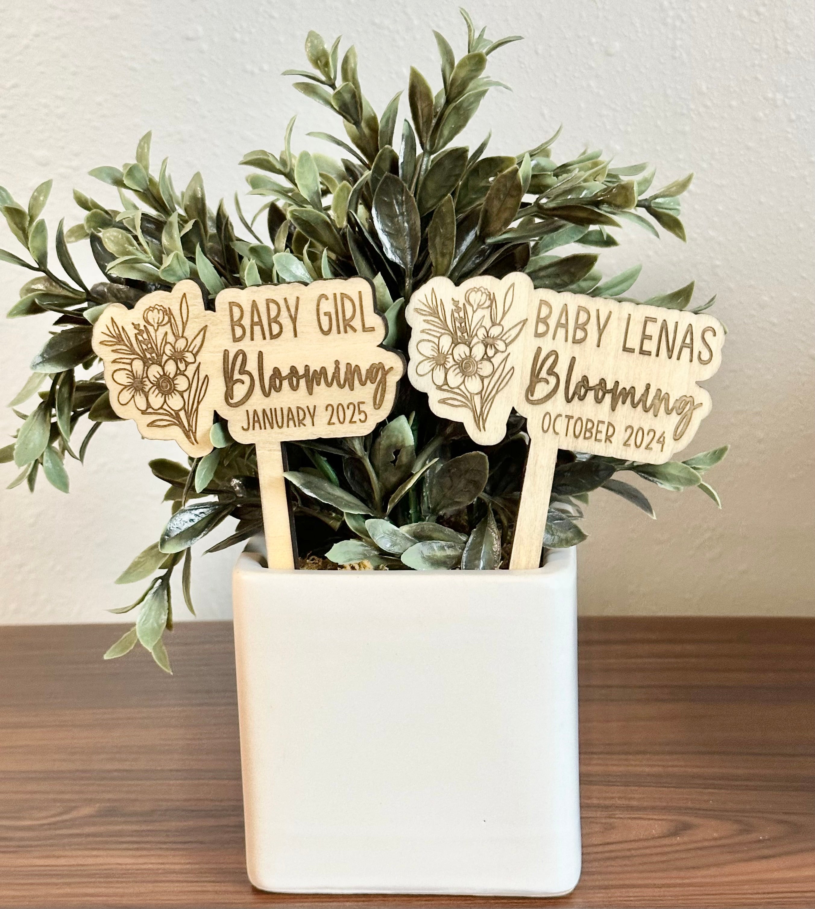 Pregnancy Announcement Plant Stakes