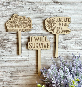 Decorative Wooden Plant Stakes